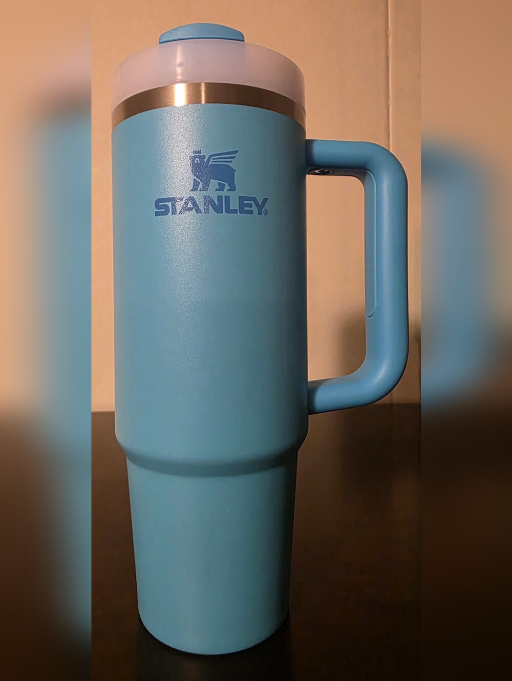 Stanley Tumbler- Splash